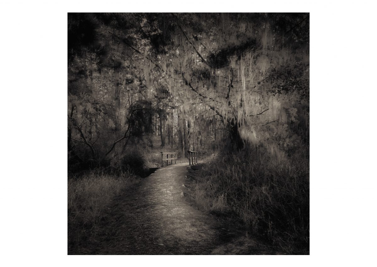 Fotograf called "Quiet Thoughts" by ©Pernilla Persson